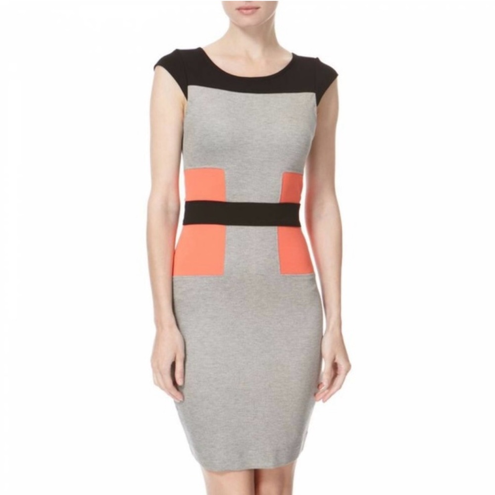 FRENCH CONNECTION | Stretch Knee Length Colorblock Bodycon‎ Dress Sz. 4